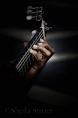 Hand of a Guitarist 26/12/07
