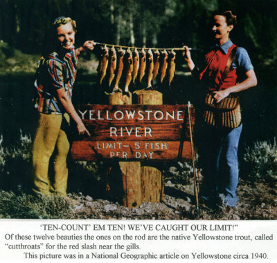  Yellowstone Fishing 1940