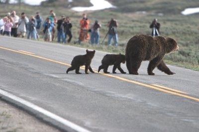 Mommy, what are they looking at?