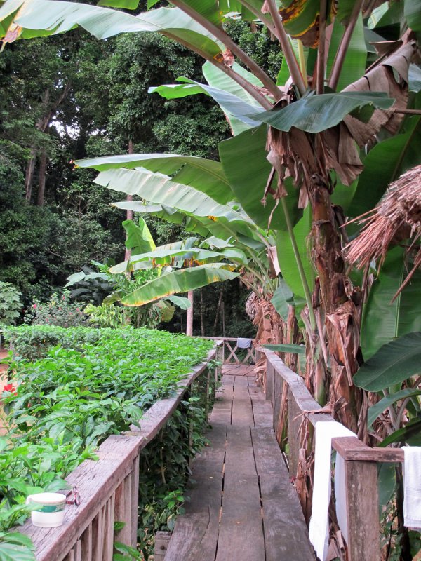 Mapaima Eco Lodge walkway between rooms
