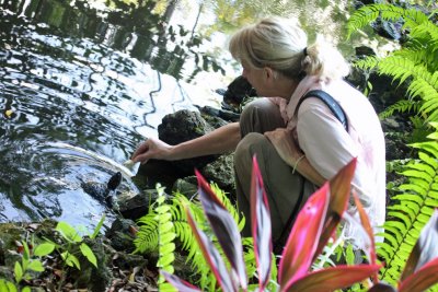 Julie feeding the turtles