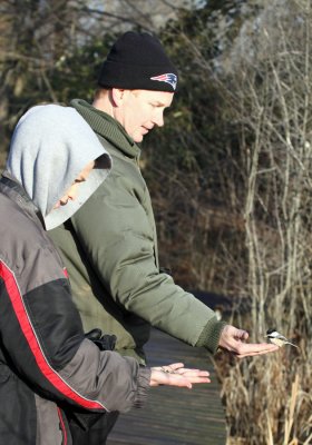 Black-capped Chickadee in hand