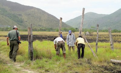 Taking fence apart.