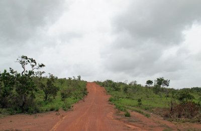 Driving through Savannah on the road to Yukupari