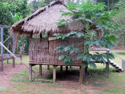 Mapaima Eco Lodge guest room