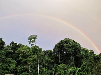Maipaima Rainbow