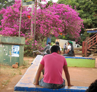 Man with pink shirt in Lethem