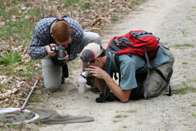 Tom and Cliff photographing their first lintneri