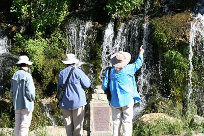 Joice P., Barbara V., and Barbara S. sees something