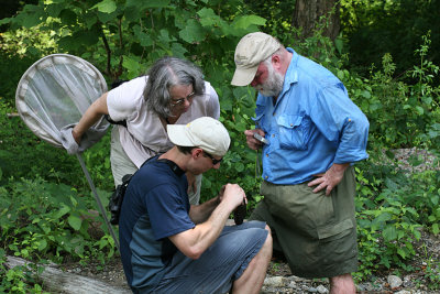Lynn and Dave watching Dan examine the wood turtle just before it bit him.