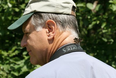 Steve with his pet Green Comma.