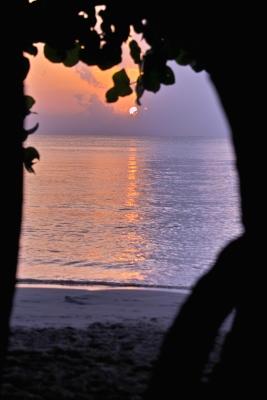 framed sunset