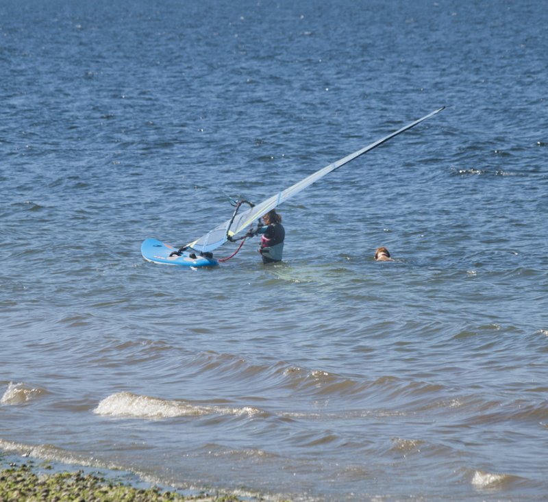 Windsurfing with Gibson