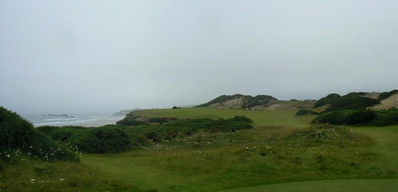 Pacific Dunes #13