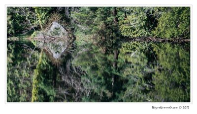 dsc_0547_f_std.jpg