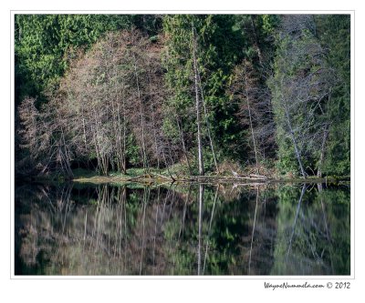 dsc_0548_f_std.jpg