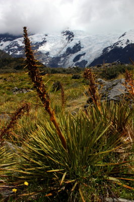 Why you stay on the track.  Aoraki