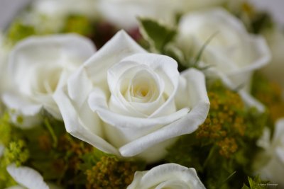 WEDDING CHADCHADA_ELIAS IMG_8224_web.jpg