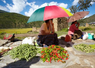 Selling chillis on the way to Thimphu