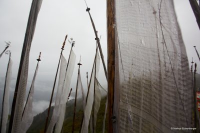 Prayerflags on Chelala Pass