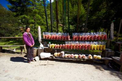 Selling apples along the road to Punakha
