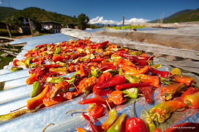 and another chilli drying rooftop