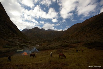 our campsite at Tsochenchen 3780 meters above sea level