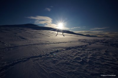 people walking in the snow