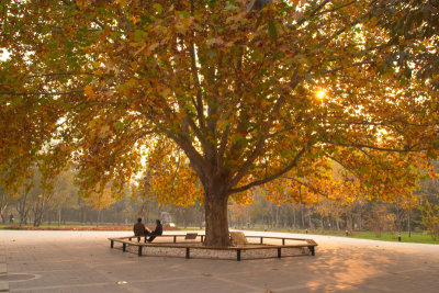 Beijing Ritan Park