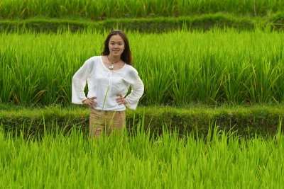 In the rice fields of Bali