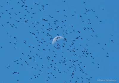 it was a clear sky with a visible moon