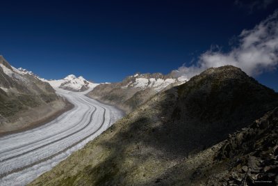 the Aletsch Glacier is the biggest in continental Europe