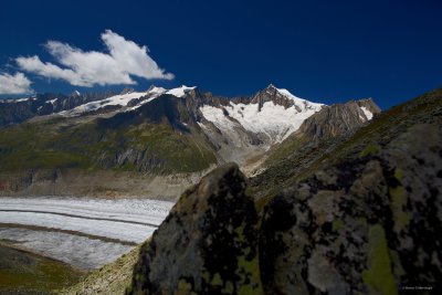 along the ridge of the glacier