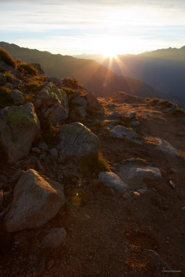 beautiful glow on the stones