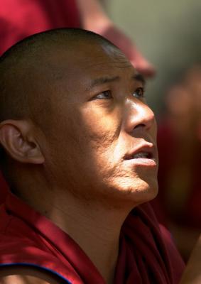 Sera Monastery Discussions