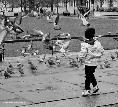 Child and Pigeons