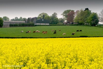 Derbyshire Farm