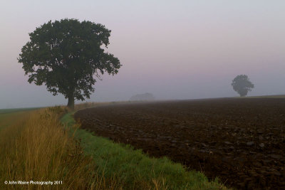 Fresh Ploughing In The Mist