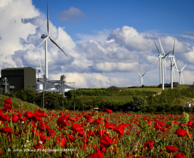 Poppies, Clouds and Windmills
