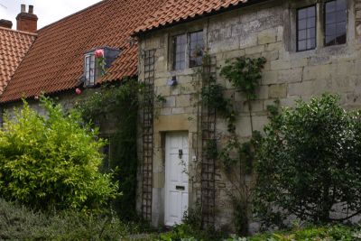 CRW_7795.jpg