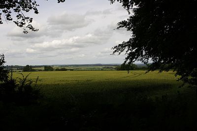 View from West Tisbury
