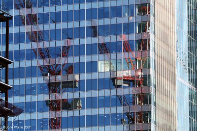 Cranes Reflected