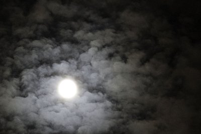 20110320.020413.00006.jpg
