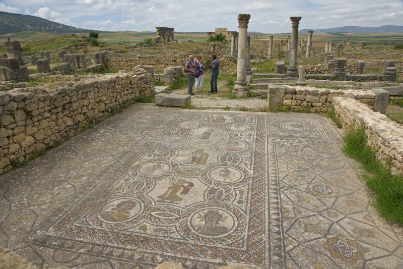 Volubilis Mosaics.jpg