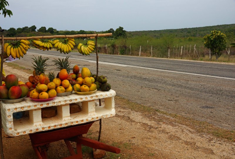Roadside fruit stand.jpg