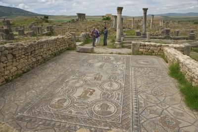 Volubilis Mosaics.jpg