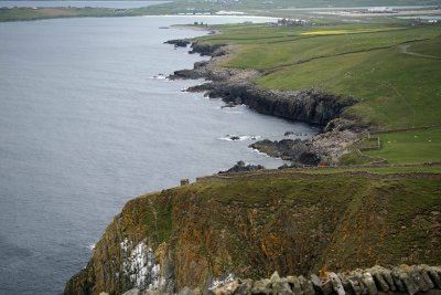 Shetland Coastline.jpg