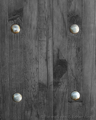 Four Nails in a Door