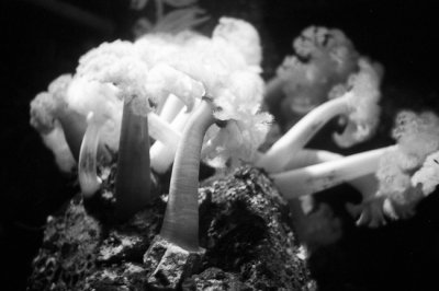 20110420_021_web.jpg
