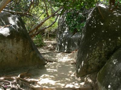 Trail leading to The Baths, Virgin Gorda